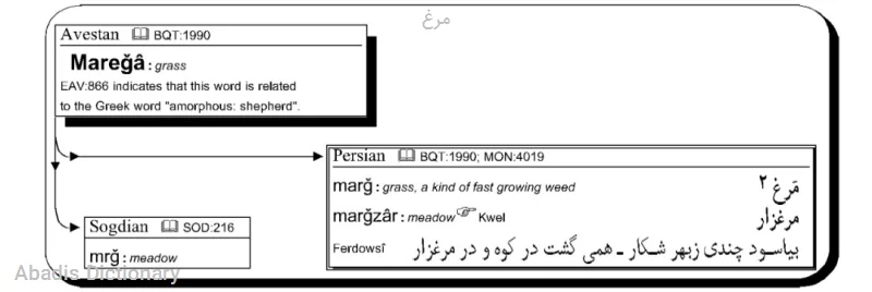مرغ