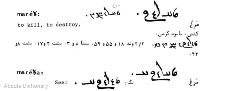 مرغ