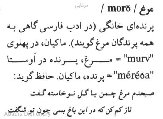 مرغابی