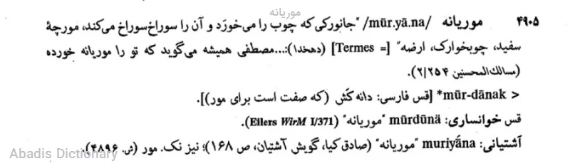 موریانه