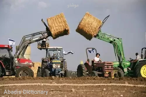 موشاو