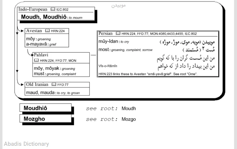 موییدن