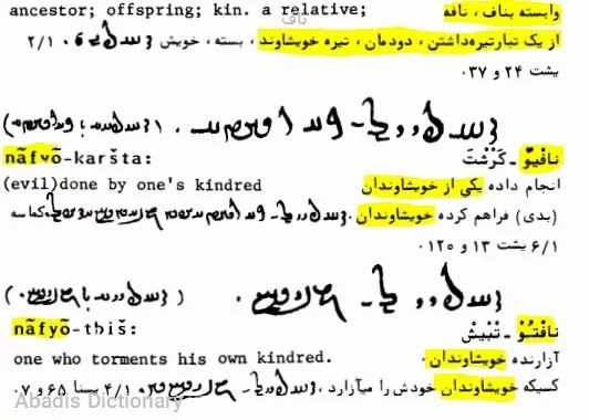 ناف معنی در دیکشنری آبادیس