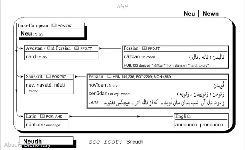نویدن