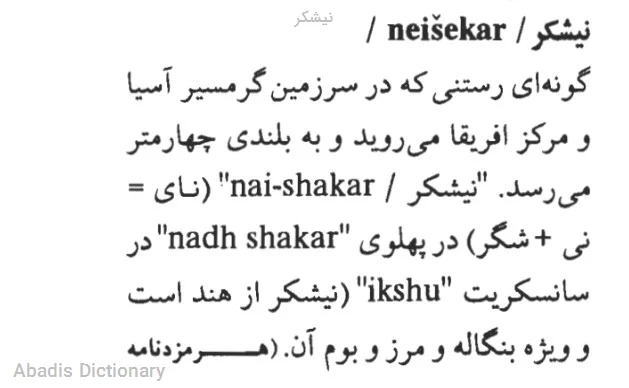 نیشکر