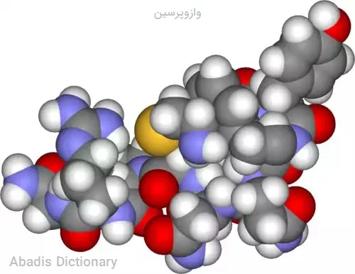 وازوپرسین