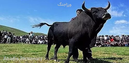 ورزاجنگ