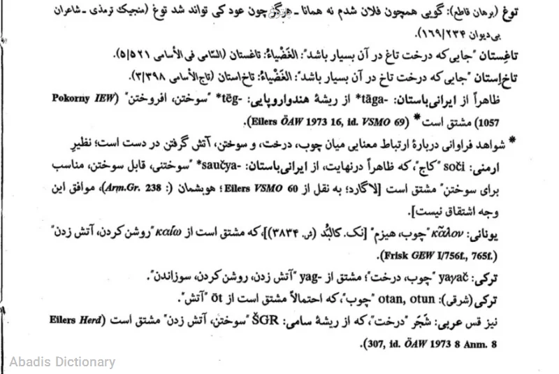 پاتوغ