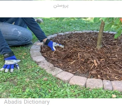 پروستن