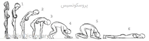 پروسکونسیس
