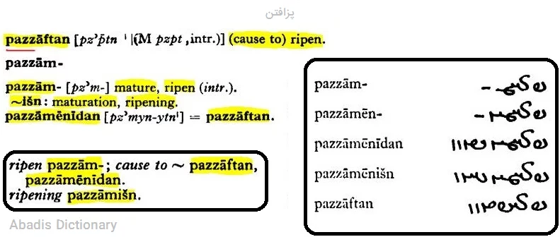 پزافتن
