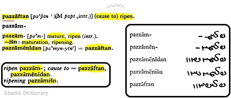 پزامانیدن
