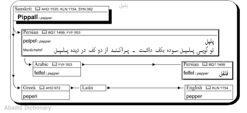 پلپل