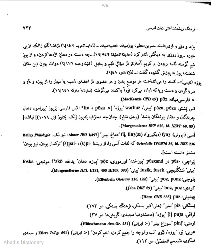 پوزه