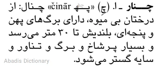 چنار