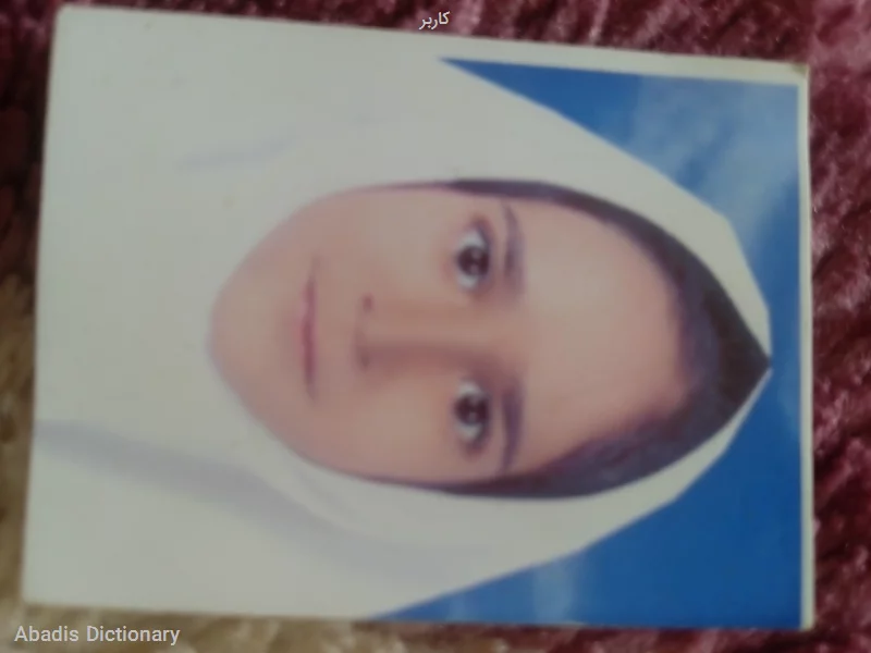 کاربر