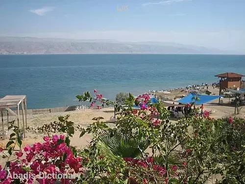 کالیا