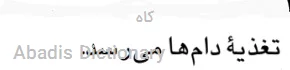 کاه
