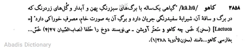 کاهو