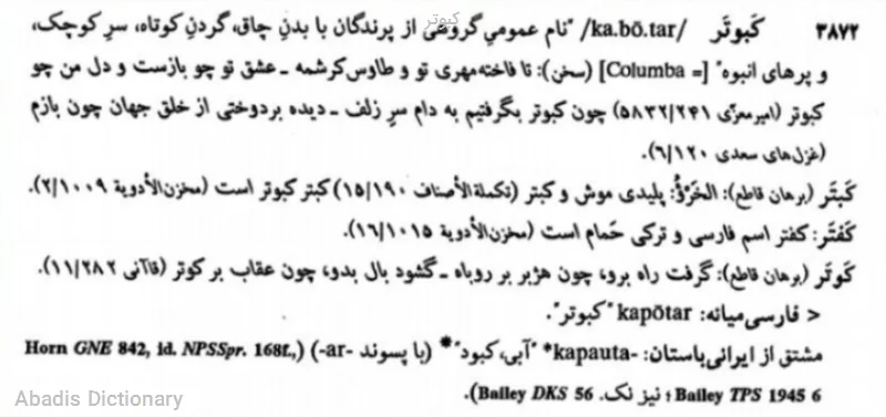 کبوتر