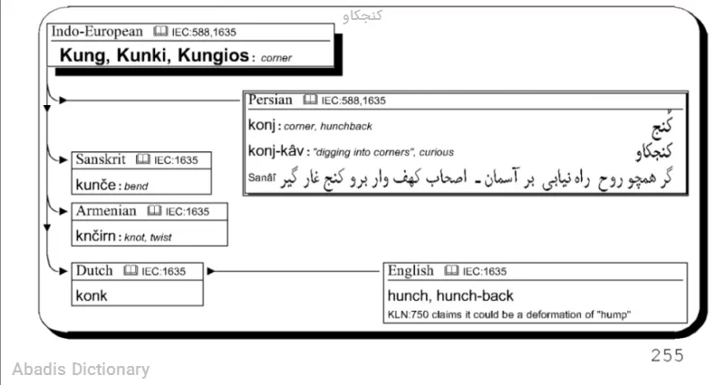 کنجکاو