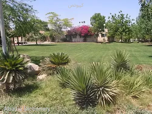 کیبوتص
