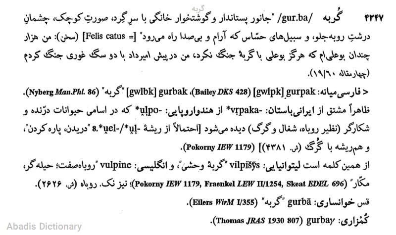 گربه