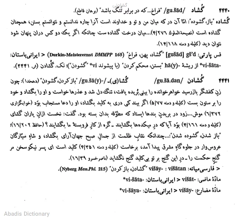 گشادنی