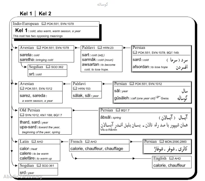 گوساله