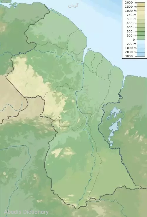 گویان