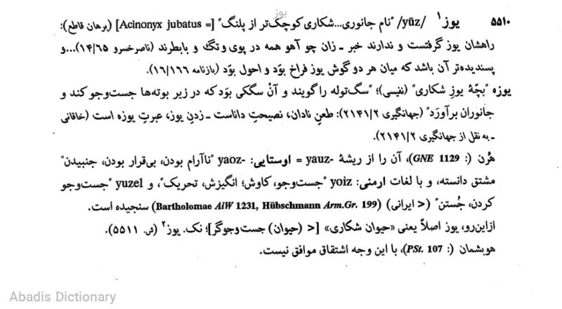 یوز