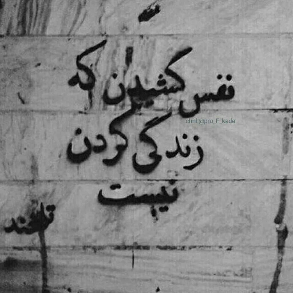کاربر