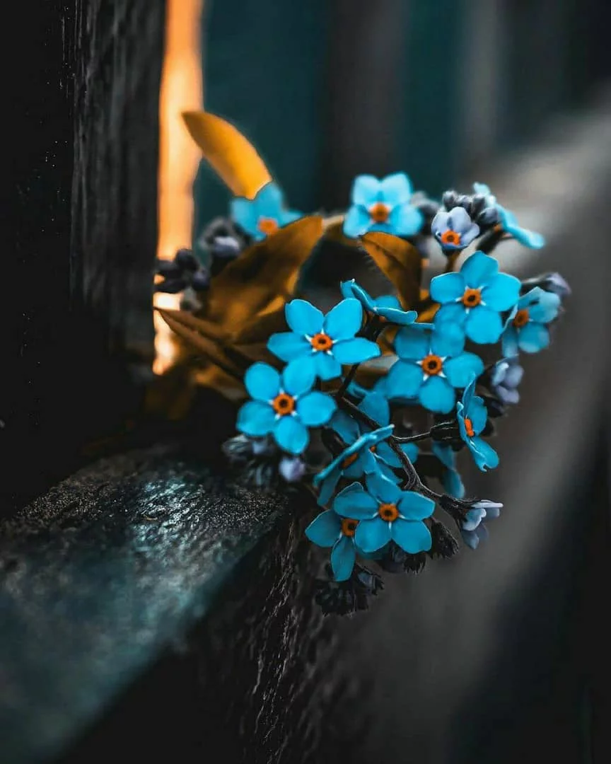 کاربر