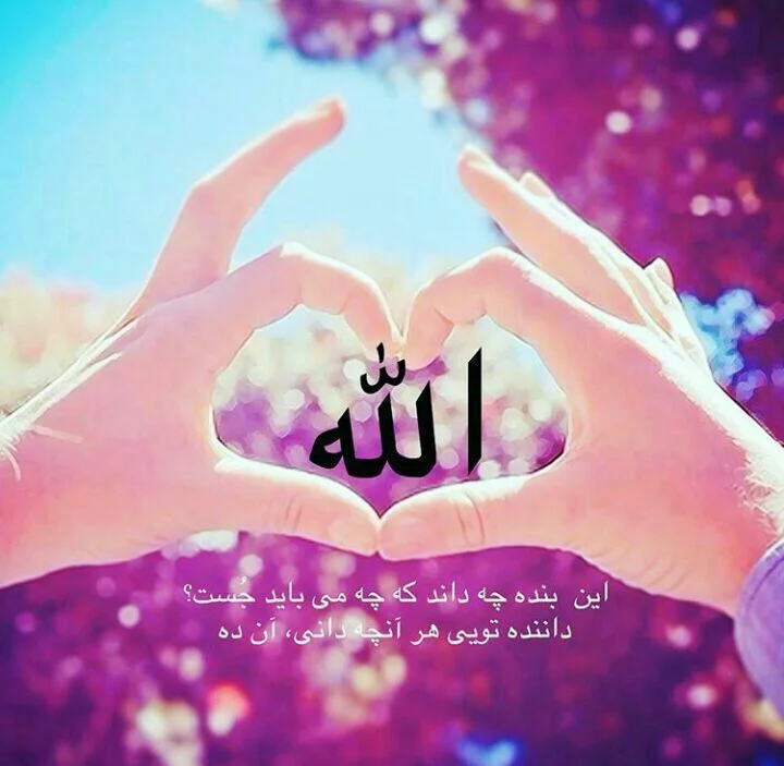 کاربر