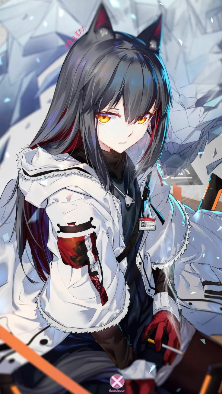 کاربر