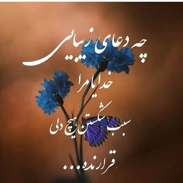 پیربخش حجازی