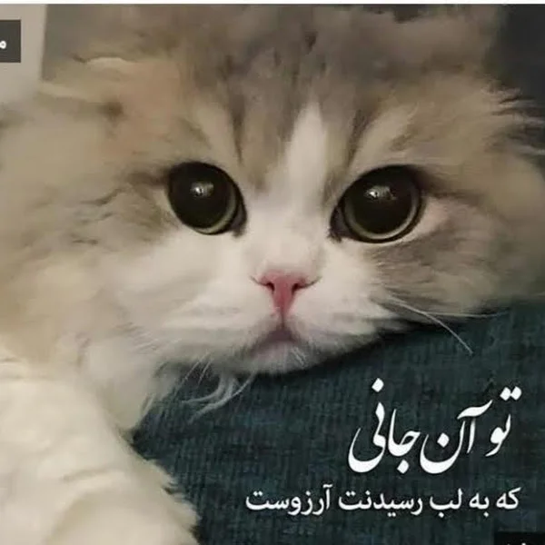 کاربر
