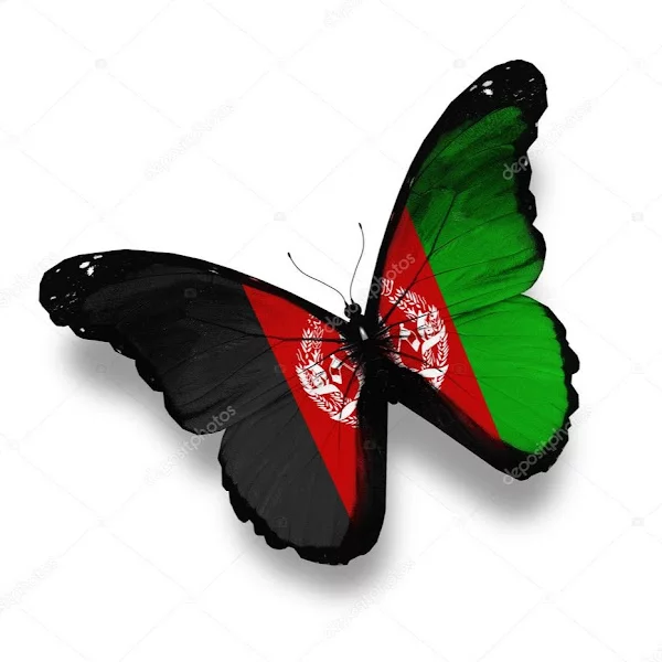 کاربر