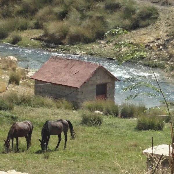 کاربر