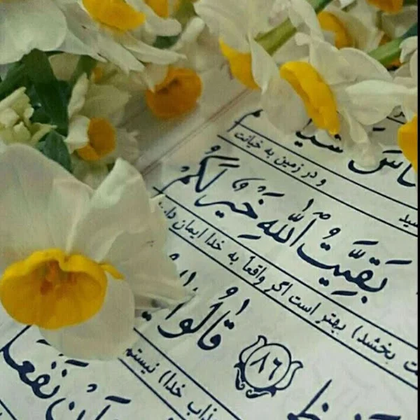 کاربر