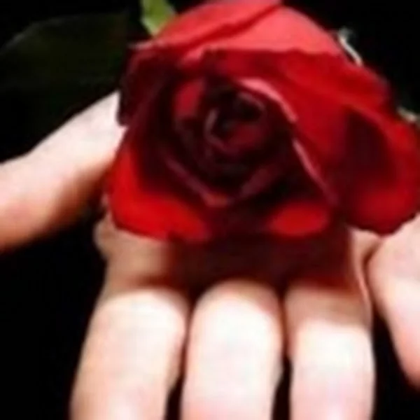 کاربر