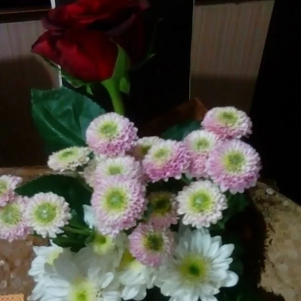 کاربر
