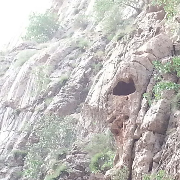 کاربر
