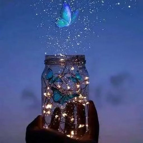 کاربر