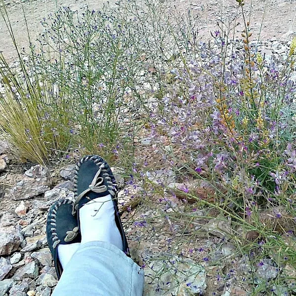 کاربر