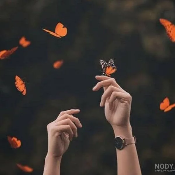 کاربر