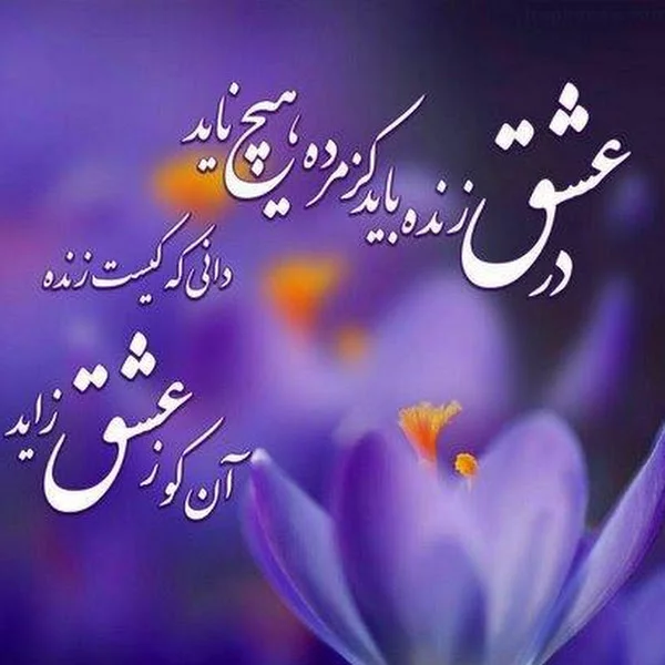 کاربر