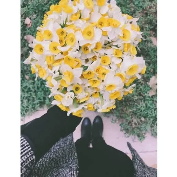 کاربر