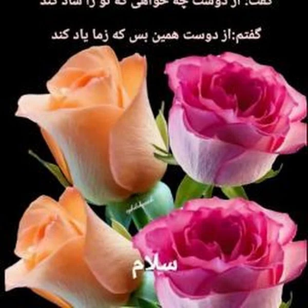 کاربر