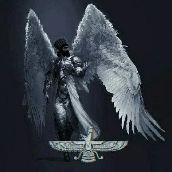 کاربر